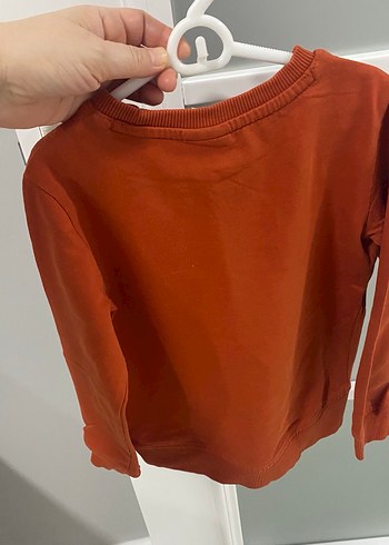 Us polo erkek çocuk swet - Görsel 5