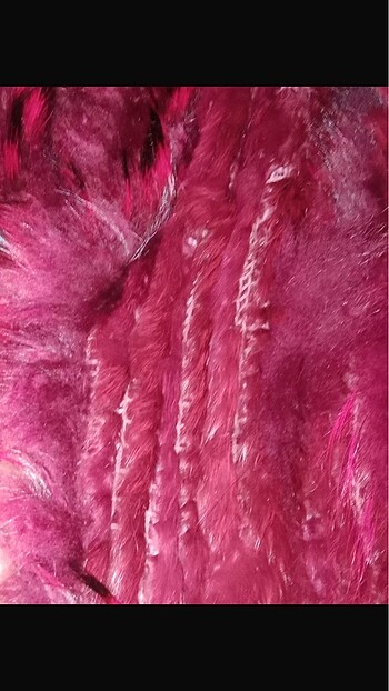 Kürk inanılmaz güzel - Görsel 3