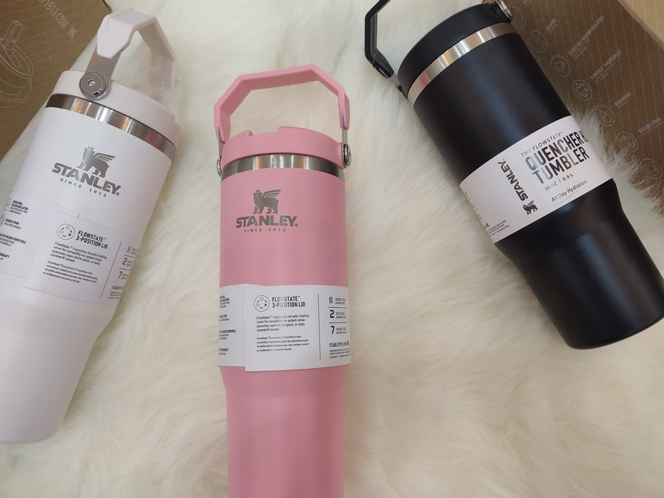 Stanley Pembe  Termos Şişesi - Görsel 2
