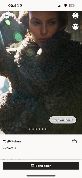 Hm tüylü kaban - Görsel 5