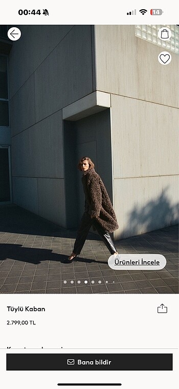 Hm tüylü kaban - Görsel 6