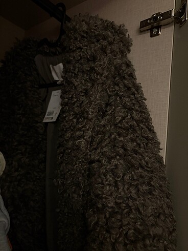 Hm tüylü kaban - Görsel 8