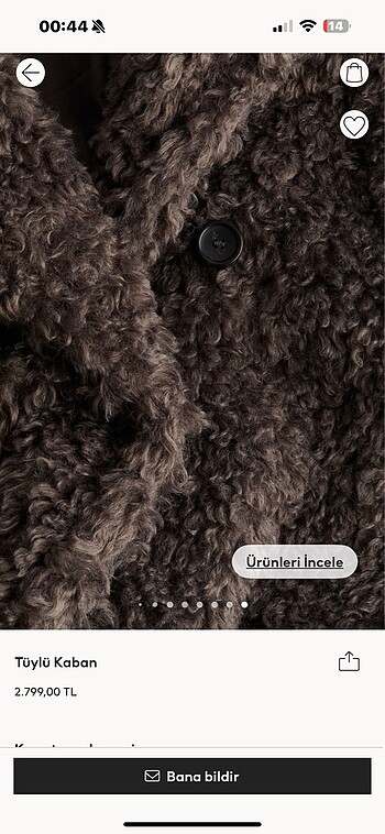 Hm tüylü kaban - Görsel 10
