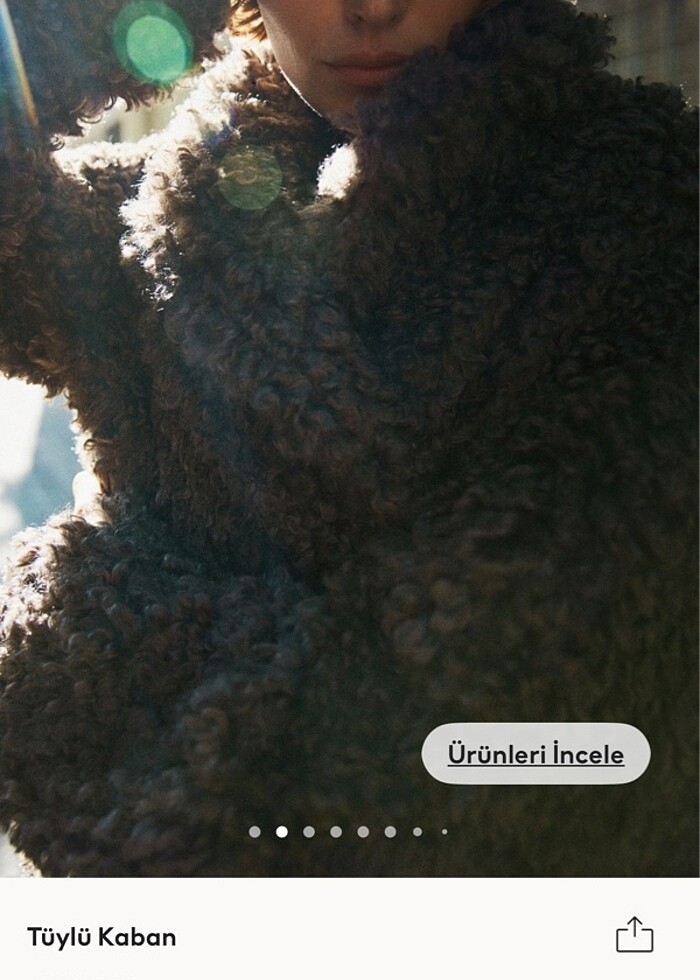 Hm tüylü kaban - Görsel 5