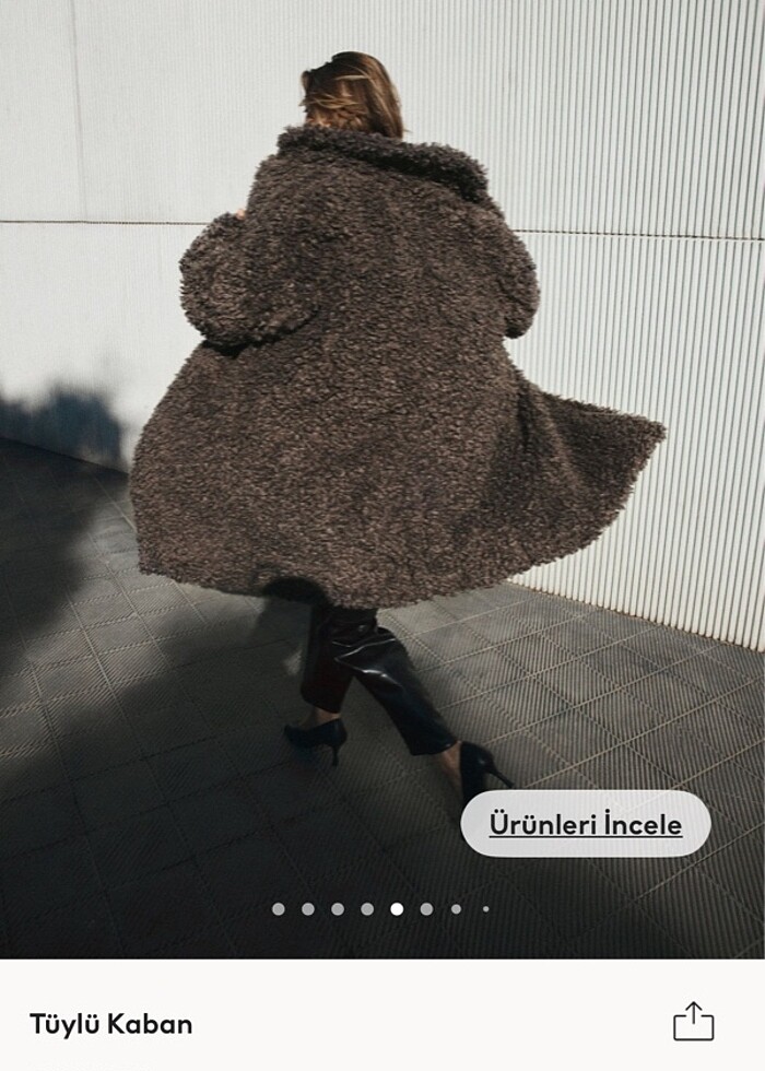 Hm tüylü kaban - Görsel 4