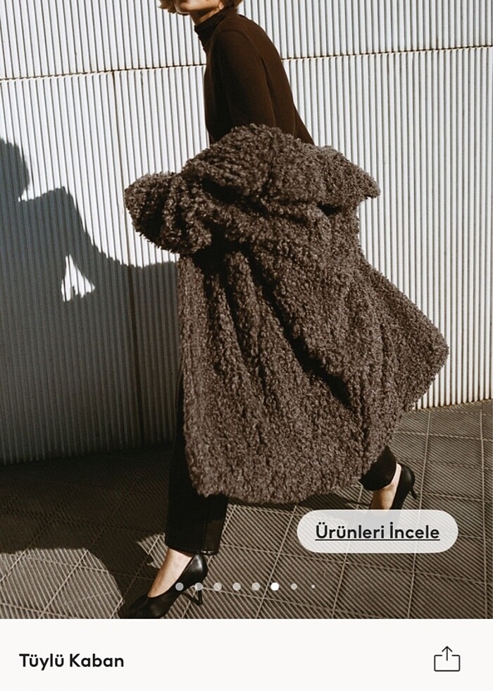 Hm tüylü kaban - Görsel 3