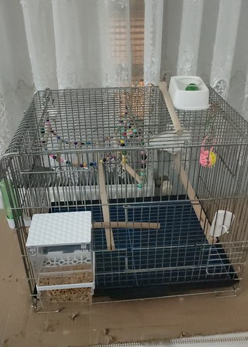 Gri Kuş Kafesi ve Aksesuarları