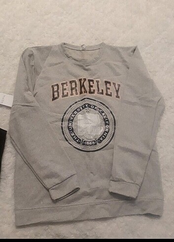 Erkek sweatshirt 