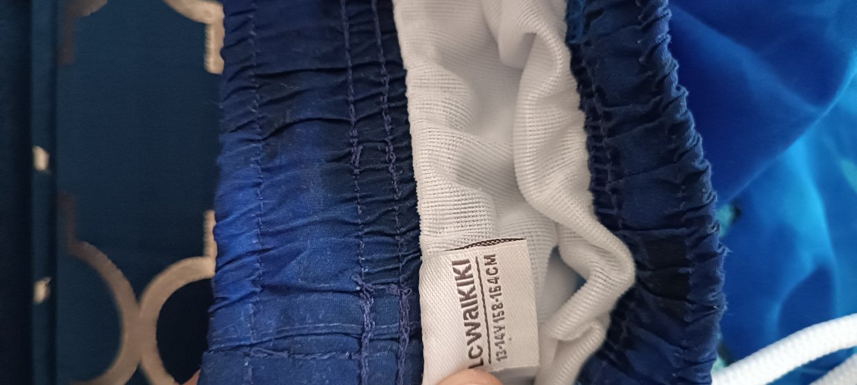 Renkli Bağcıklı Erkek Şort - Görsel 4