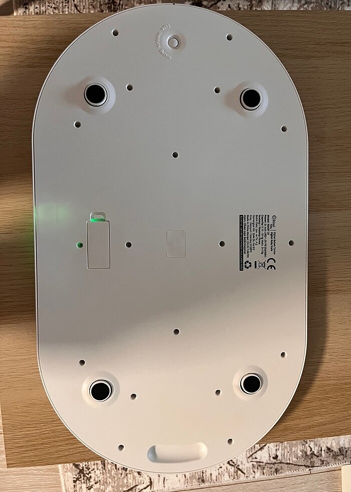 Kıwı baby tartı - Görsel 3