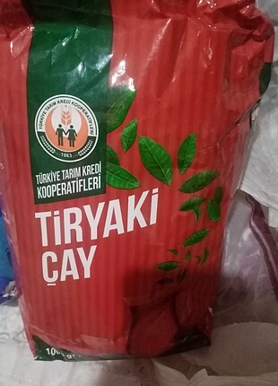 Cayı 