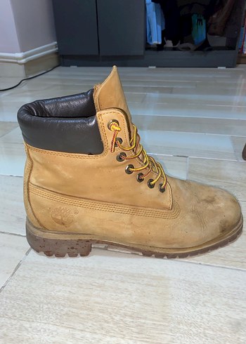 Timberland 45