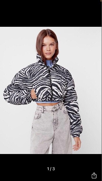 zebra mont