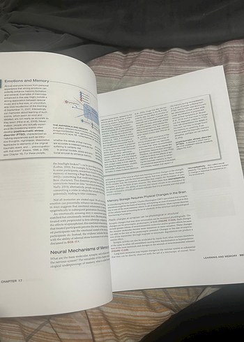 Behavioral Neuroscience Kitapları - Fizyolojik Psikoloji - Görsel 4