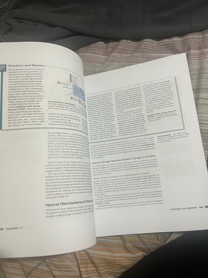 Behavioral Neuroscience Kitapları - Fizyolojik Psikoloji - Görsel 4