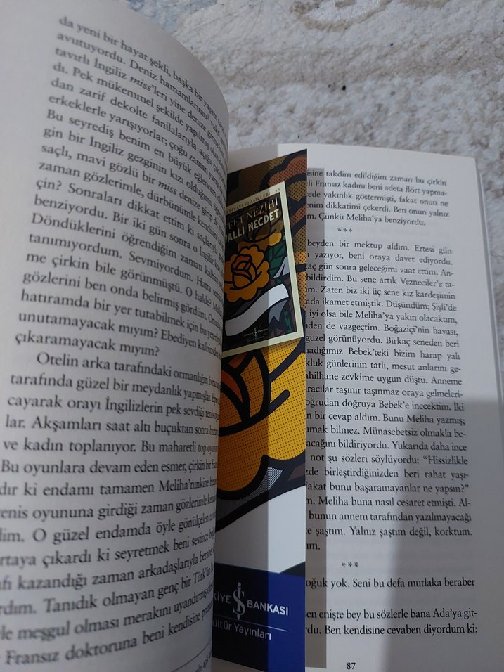 Saffet Nezihi - Zavallı Necdet - Görsel 2