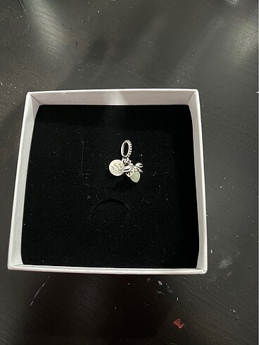 Pandora charm
