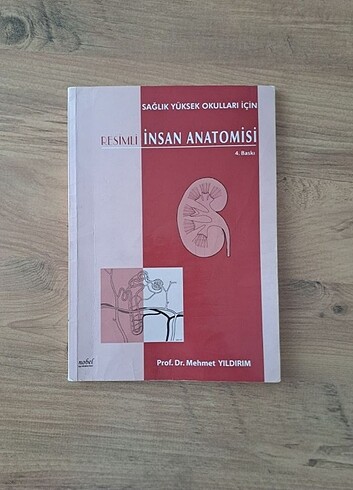 Resimli İnsan Anatomisi