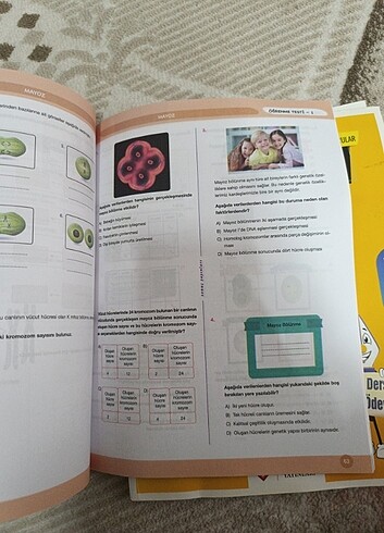 7. Sınıf Fen Bilimleri Kazanım Merkezli - Görsel 3