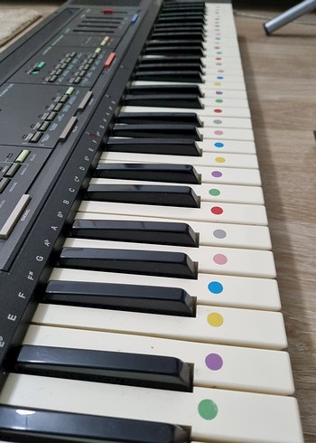 Casio CT-310 Elektronik Klavye (61 Tuşlu)