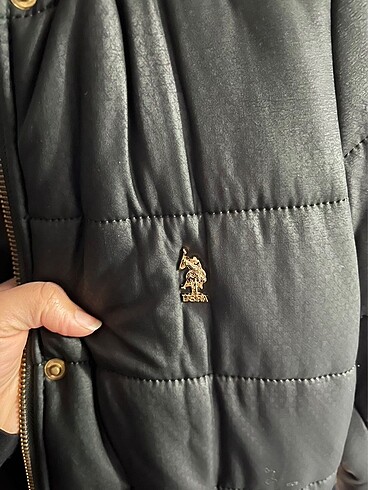 U.S Polo Assn. U.s.polo mont