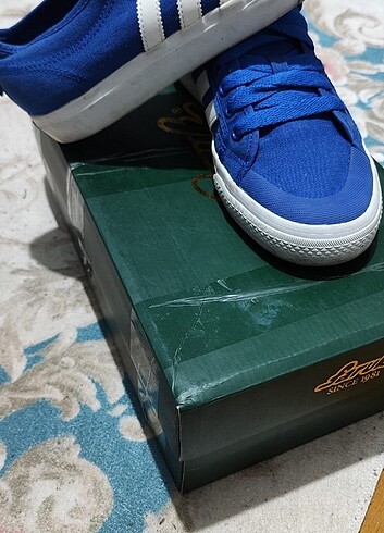 Adidas Adidas 