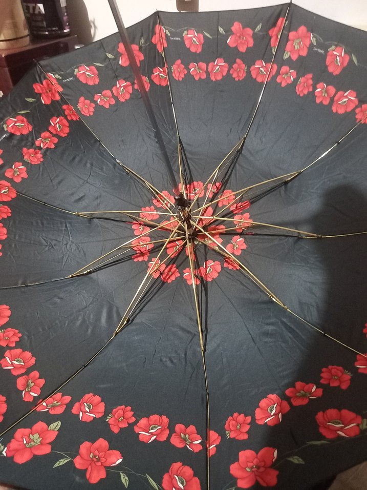 Daniel Klein Şemsiye - Görsel 5