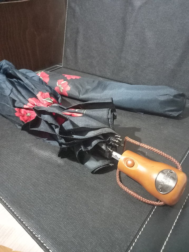 Daniel Klein Şemsiye - Görsel 2