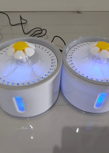 kedi su pınarı  - Görsel 3