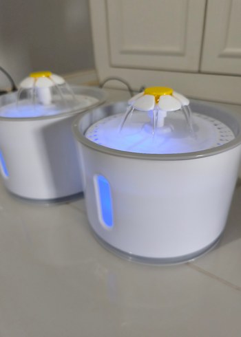 kedi su pınarı  - Görsel 6