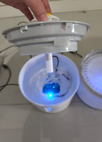 kedi su pınarı  - Görsel 9