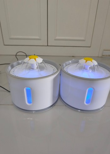 kedi su pınarı  - Görsel 7