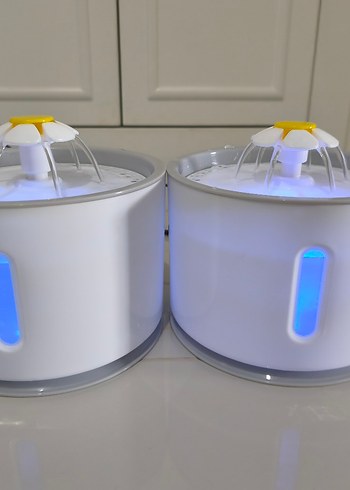 kedi su pınarı  - Görsel 2