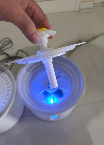 kedi su pınarı  - Görsel 10