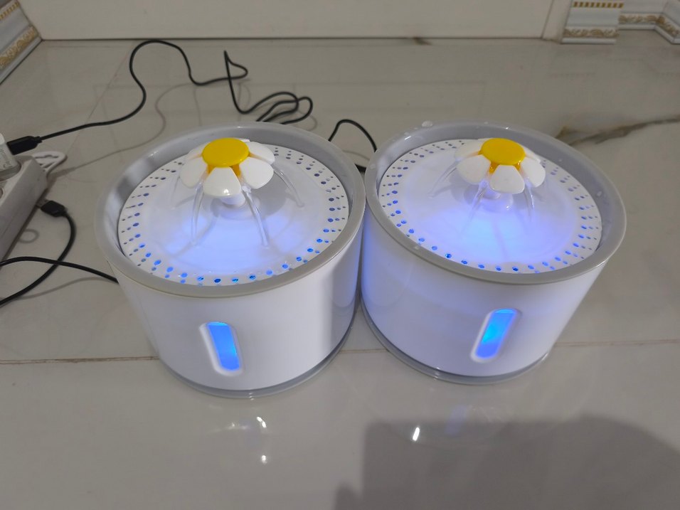 kedi su pınarı  - Görsel 3