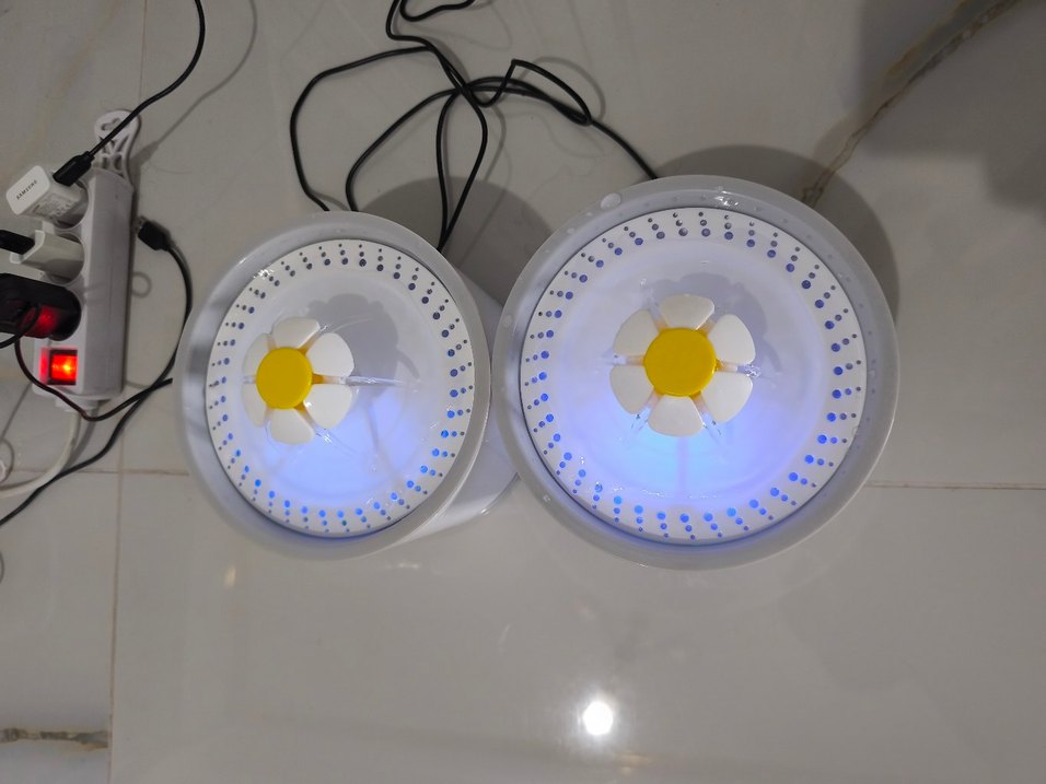 kedi su pınarı  - Görsel 4