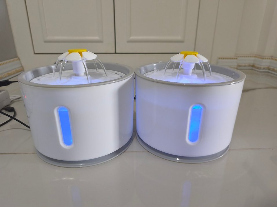 kedi su pınarı  - Görsel 2