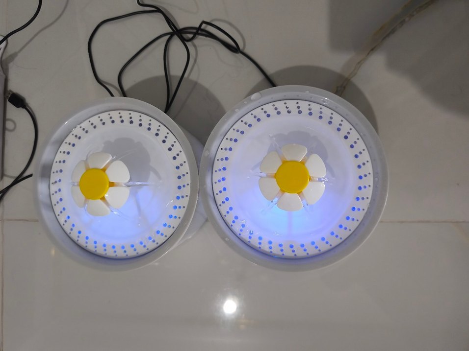 kedi su pınarı  - Görsel 5