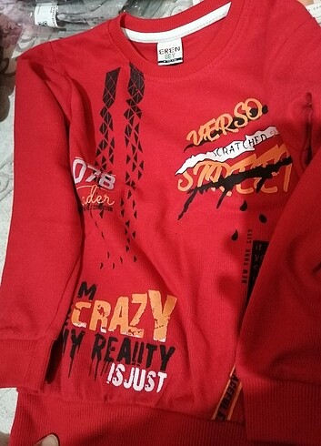 Sweatshirt 