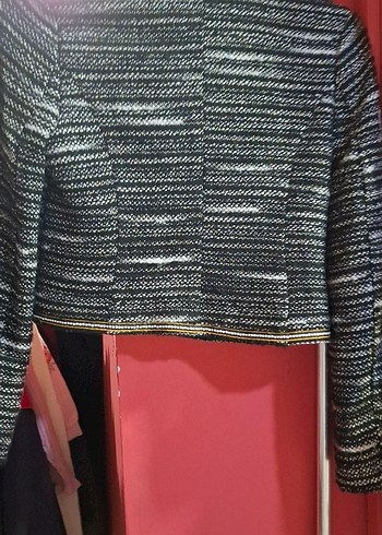 Düğmeli, Nakışlı Kısa Gri Kadın Ceket - Görsel 3