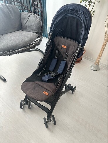 15-36 kg Beden Hiçbir deformesi yoktur