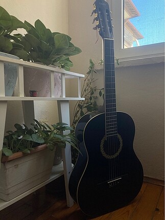 gitar