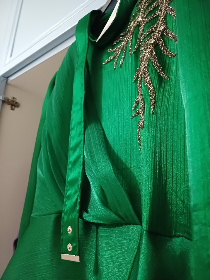 Uzun Kollu Yeşil İşlemeli Abiye Elbise - Görsel 5
