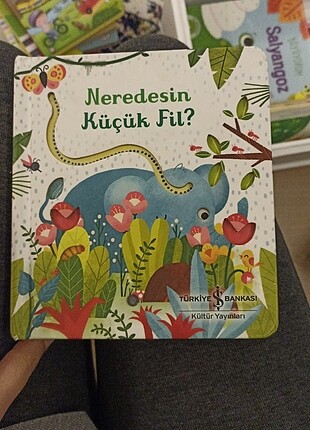 Delikli kitap