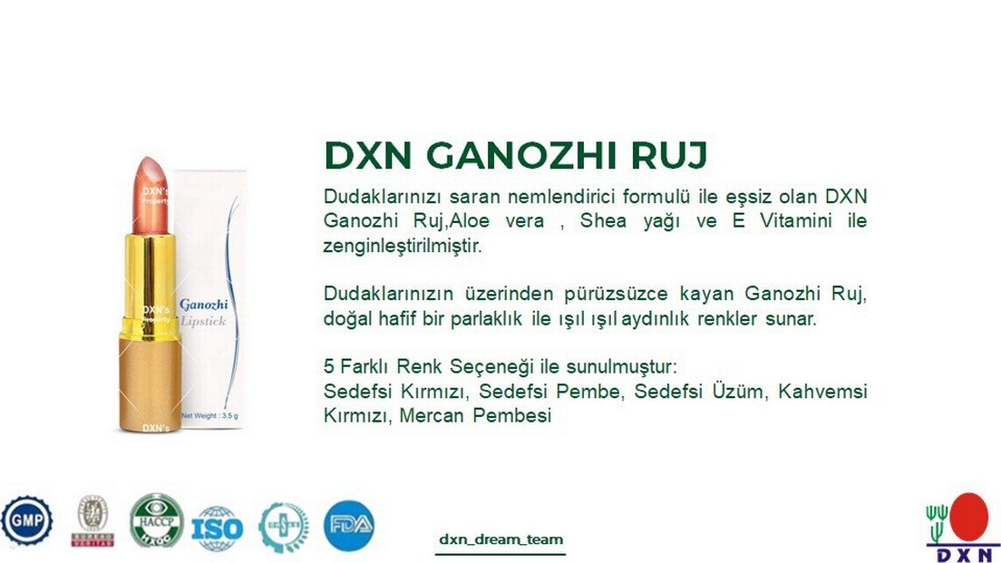 Ruj Dxn - Görsel 2