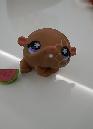 miniş