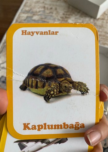 Beden Renk Güzel Bebeğim 55 İlk Kelime Kitap Seti