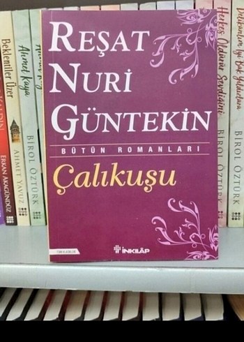 Reşat Nuri Güntekin - Çalıkuşu Romanı