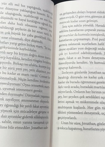 Beden Martı Jonathan Livingston - Richard Bach