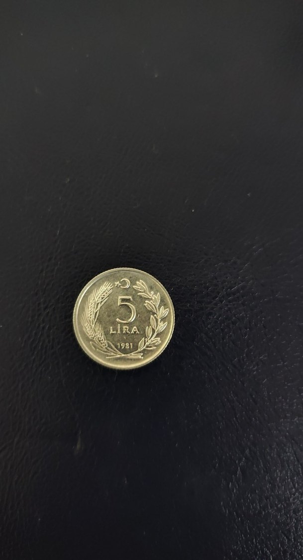 eski para koleksiyon hatıra 5 lira - Görsel 2